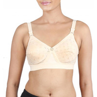 Trylo Women's Non-Wired Bra (Krutikachikan-137_Skin_44D)