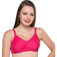 Trylo Minimizer 34 Rasberry E - Cup
