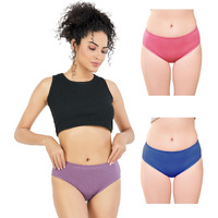 Trylo Pretty Panty - L Assorted