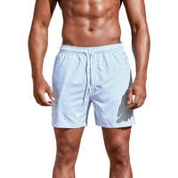 Toplot Regular Fit Stripe Printed Boxer Shorts For Men (Lining-Shorts-5129-Sky-L)