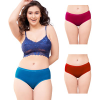 Trylo Komal Panty-2Xl
