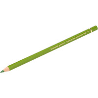 Faber-Castell Polychromos Artist Colour Pencils Earth Green Yellowish
