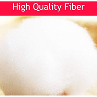 Cge Racron Polyester Synthetic Cotton Filling For Cushion, Pillow, Teddy Bear, Toy Stuffing (2000 G)