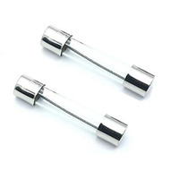 Centiot - 2Pcs - 6X30Mm Slow Melt Fuse Time Delay Insurance Tube Fuse - Suitable For Microwave Oven (10A 250V 6 X 30Mm Slow Melt)