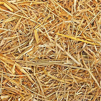 Mats Avenue Manually Extracted Natural Hay 450 Grams And 10 Meter Jute Twine For Making Christmas Crib (450 Grams)