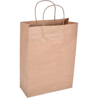 Sapco Virgin Kraft Gift Paper Bag, Shopping Bag Pack Of 10 (10 X 14 X 4-Inch)