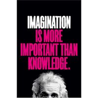 Inephos Albert Einstein Inspirational Quote Poster Print (Size: 24 Inch X 36 Inch, Large, Laminated Vinyl Print)
