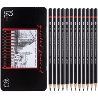 Professional Drawing Sketch Pencils Set Of 12, Medium (8B - 2H), Ideal For Drawing Art, Sketching, Shading, Artist Pencils For Beginners & Pro Artists