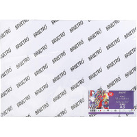Brustro Artists Mixed Media Paper 250Gsm Jumbo - A3 (50 Sheets)