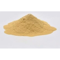 Prokart Yellow Fine Quality Dental Powder For Art & Craft, Diy And Multipurpose 1Kg