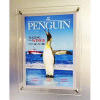 Bigimall Acrylic Sandwich Sheet Board (Transparent - 18 X 24 Inches)