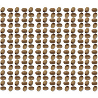 Diy Crafts 50 Grm, As Image, 6.2 Mm X 4.2 Mm As Image Diy Accessory Findings Jewellery Clasps Fittings Diy Jewellery Making Accessories Egg Nog Colour Wood Material S(50 Grm, As Image)
