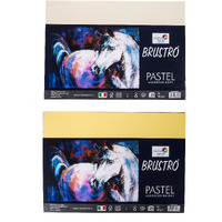 Brustro Artists Pastel Papers | 160 Gsm, A4, Bright & Soft Shades Of 40 Sheets (20 Sheets Of Each Shades) | Suitable For Pastels, Pencil, Graphite, Charcoal.