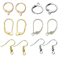 Diy Crafts Pack Of 40 Pcs 20X2, 01 Gold Package Include As Title, 20Pcs/Lot 316 Stainless Steel Gold Silver Tone Findings Fr(Pack Of 40 Pcs 20X2, 01 Gold Package Include As Title)