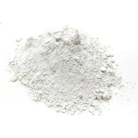Prokart Multipurpose Ceramic Powder White Fine Quality For Art & Craft, Diy Etc 1Kg