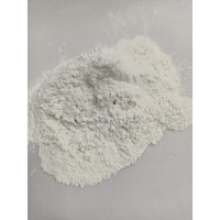 Prokart Premium White Fine Quality Dental Powder For Art & Craft, Diy And Multipurpose 500G