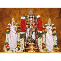 Printelligent Tirupati Balaji Religious Poster Framed Size (12 X 18 Inch) (Art Deco_01)
