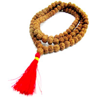 Shivaratna 6 Mukhi Rudraksha Mala 108+1 Beads Certified (35 Cm Length Approx)