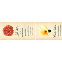 Mt Washi Masking Tape Fab Series, Flower, 25Mm X 3 Mtrs (Pack Of 1)