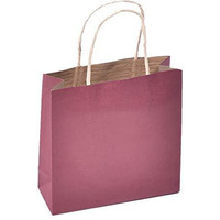 Sapco Gift Paper Carry Bag Pack Of 10(Solid Brown)