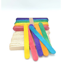 Gold Leaf Wooden 100Pcs Ice Cream Sticks For Ice Cream Making,School Porject Work Ice Cream Stick 50Pcs White And 50Pcs Multicolor Sticks