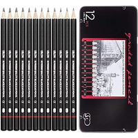 Inovera (Label) 12 Set Professional Drawing Art Sketch Graphite Pencils With Metal Case 2H, H, F, Hb, B, 2B, 3B, 4B, 5B, 6B, 7B, 8B (Pack Of 1, Black)
