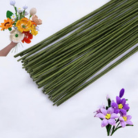 Pandeji 30Cm Lenght Green Paper Wrapped Floral Stem Wire For Craft And Flower Making.(40Pc Green Floral Wire)