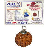 7 Mukhi Rudraksha Original Certified || Igl Certification | Aaaa Plus | For Wealth And Income | In A Sealed Pack Box | Large And Heavy | Natural And Pure | Bead Size 25-26 Mm | By Shree Rudraksham |