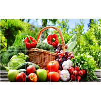 Sticker Yard Vinyl Veg And Fresh Fruits Wall Sticker, 46 X 68 Cm, Multicolour