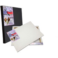 Skyhawk Cotton Medium Grain Stretched Canvas 10X10 (Set Of 4) (White & Black) (10 Oz)