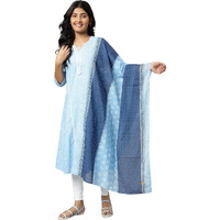 Aurelia Women Ice Blue Cotton Printed Dupatta_22Aua80002-505717_Fs