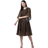 Aarika Women's Georgette Skater Knee-Length Dress (Dr-Aw-028_Brown