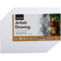 Brustro Artists Drawing Paper 160 Gsm 10 X 14 Cm Size, Pack Of 100 Sheets