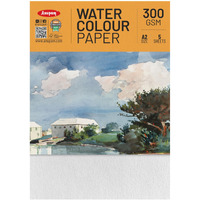 Anupam Professional Watercolour Paper | A2 (60X42Cm) 300 Gsm Cold Pressed Paper | 5 Sheets | Ideal For Artist, Professional Drawing, Painting Dry & Wet, Fine Art, School, Students, Watercolor