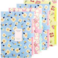 Corslet Folder For Documents A4 Size 5 Pockets Files For Students For School And Office (Pack Of 4)