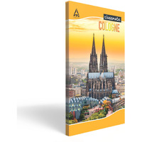 Classmate Long Book - Unruled, 172 Pages, 272 Mm X 167 Mm - Pack Of 3