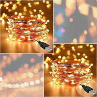 Sinoman Led Fairy String Lights 10M 100 Leds Copper Fairy String Lights With Usb Cable Warm White Light For Balcony, Diwali, Christmas, Wedding, Festival, Home And Outdoor Decoration (Pack Of 2)