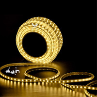 Errol Led Strip Lights | Led Rope Light | Water Proof Strip Lights For Room | Led Strip Light For Ceiling | Decorative | Home Decor Lights | Diwali Light (3 Meter,Warmwhite)