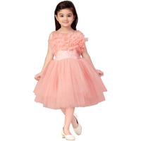 Aarika Baby-Girl's Nylon Fit And Flare Knee-Length Dress (Fk-1655_Peach