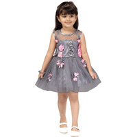 Aarika Baby Girl's Net A-Line Knee-Long Dress (Fk-Ag-02-Grey-16)