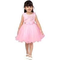 Aarika Baby Girl's Net A-Line Knee-Long Dress (Fk-24314-Pink-18)