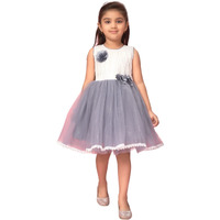 Aarika Girls Grey Colour Net Self Design Frock (Fk-16007-Grey-20)