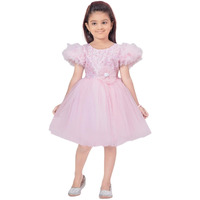 Aarika Girl's Net Fit And Flare Above The Knee Dress (Fk-16001_Pink