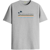 Adro Mens Printed T Shirt | The Super Soft Tshirt In India| Pure Cotton Lycra Breathable Fabric| 4 Way Stretch Smart Tech Fabric| Round Neck T-Shirt (Also In Plus Size) Rn25-St-Arcl-Gr-M Grey