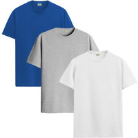 Adro Men's Solid Regular Fit T-Shirt (Rcm3-Pln-Rb-Wh-Gr_Royal Blue,White,Grey