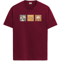 Adro Mens Printed T Shirt | The Super Soft Tshirt In India| Pure Cotton Lycra Breathable Fabric| 4 Way Stretch Smart Tech Fabric| Round Neck T-Shirt (Also In Plus Size) Rn25-St-Sumr-Mr-5Xl Maroon