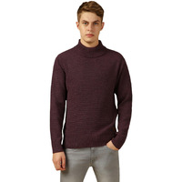 Dennis Lingo Men Purple Solid Slim Fit Full Sleeve Turtle Neck Pullover Sweater