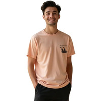 Nobero Men's Regular Fit T-Shirt (1M-Twts-C0561-Wr_Blush