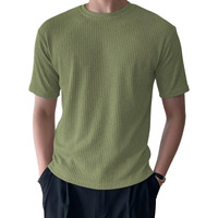 Leriya Fashion Ribbed Mens T-Shirt | Round Neck T-Shirt For Men | Plain T Shirt (Large, Light Green)