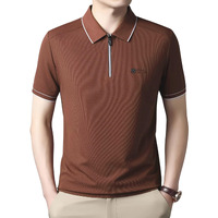 Lymio Polo T Shirt For Men || Men Casual T-Shirt || Polo (Polo-87-Rust-2Xl)